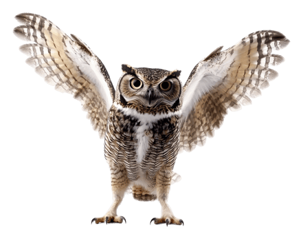 Owl displaying its wings in striking posture png