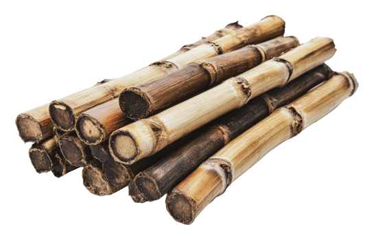 Stacks of harvested sugarcane ready for processing png