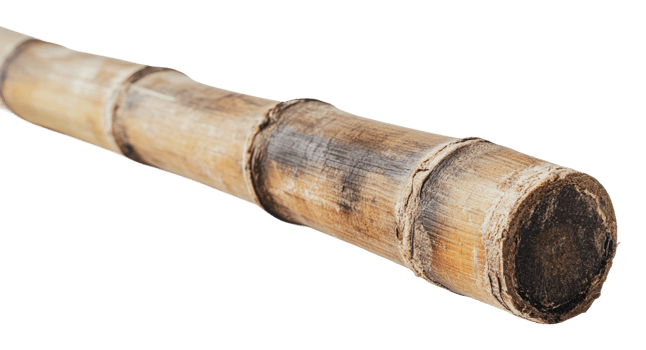 Natural bamboo pole used in various activities png