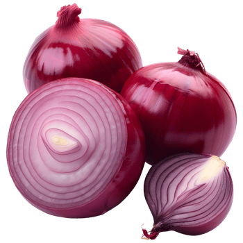 Red onion on isolated background png