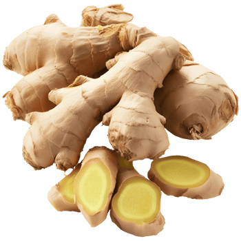 Ginger root on isolated background png