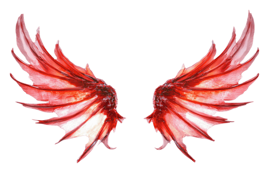 Fish fins like delicate angel wings png