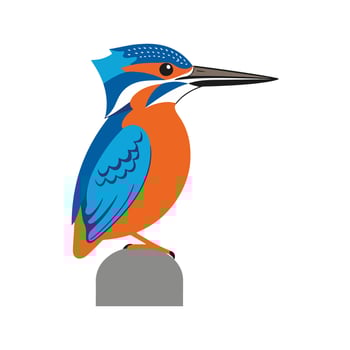 Flat Illustration of Colorful Kingfisher with Blue and Orange Feathers vector