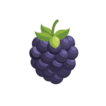 Blackberry fruit isolated flat illustration on white background. vector