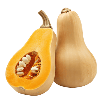 Butternut Squash, clipping path isolate on transparency background png