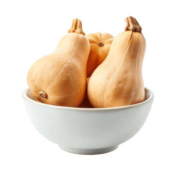 Butternut Squash in a bowl front view isolate on transparency background png
