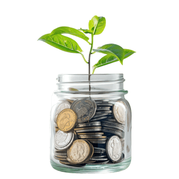 Plant growing from jar full coins, saving and invesment concept front view isolate on transparency background png