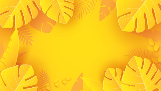 Summer with Tropical Palm Leaves and Flowers on Bright Yellow Background. vector
