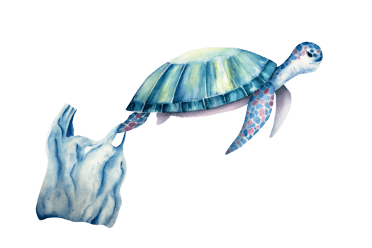 Plastic bag on sea turtle. Nice watercolor reptile, hand drawn illustration isolated on background. Agriculture, organic gardening, planting or ecology. Environmental, earth day. For designers png