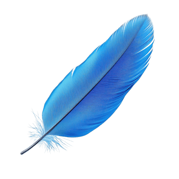 Detailed Blue Feather with Fluffy Down and Smooth Barbs png
