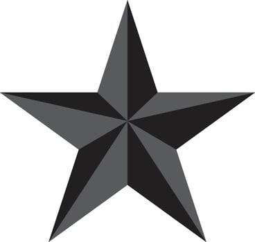 3D star design vector