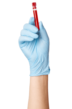 Hand in medical gloves holding a test tube with blood on an empty background. Medical testing, laboratory analysis, healthcare diagnostics. png
