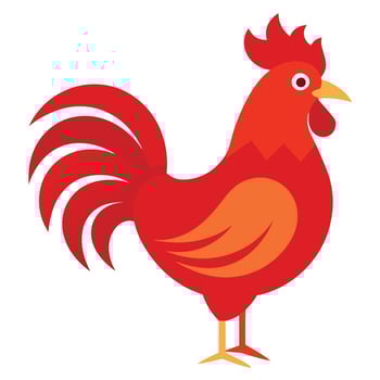 Bold Rooster Illustration - Flat Design vector