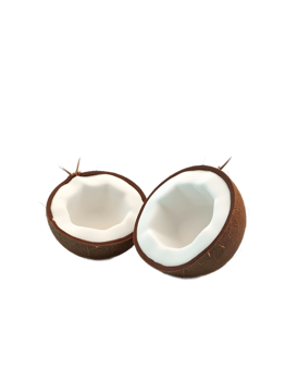 isolated realistic fresh coconut png