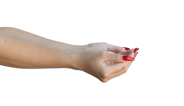 female open hand holding something isolated on transparent background, Format png