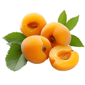 Apricots with Natural Leaves png