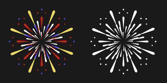 fireworks on the black background vector