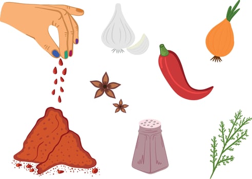 set of herbs and spices. Menu, kitchen vector