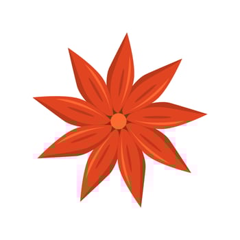 Star Anise Illustration vector