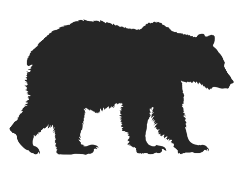 Bear silhouette isolated on transparent background png