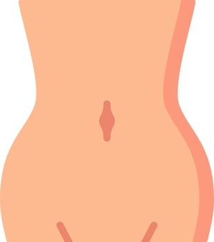 A woman's body with a small belly vector