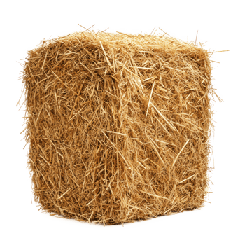 hay side view isolate on transparency background png