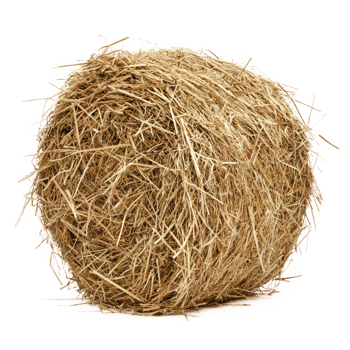 hay front view isolate on transparency background png