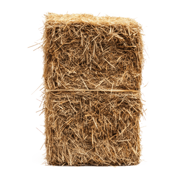 hay front view isolate on transparency background png