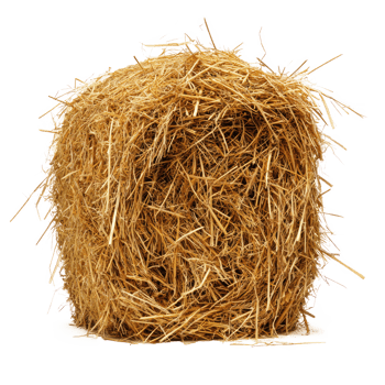 hay front view isolate on transparency background png