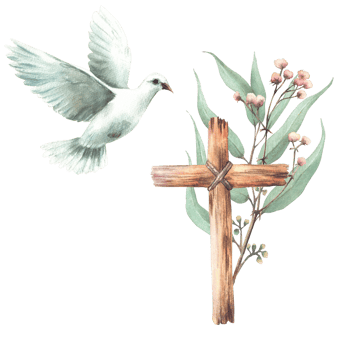 Flying white dove with wooden rustic cross on background of Eucalyptus plant green branches and small pink flowers twig. Pigeon bird. Watercolor hand drawn illustration. Religious isolated clip art png