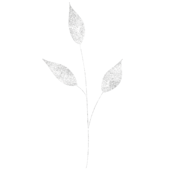 Shimmery silver leaf on a transparent background png