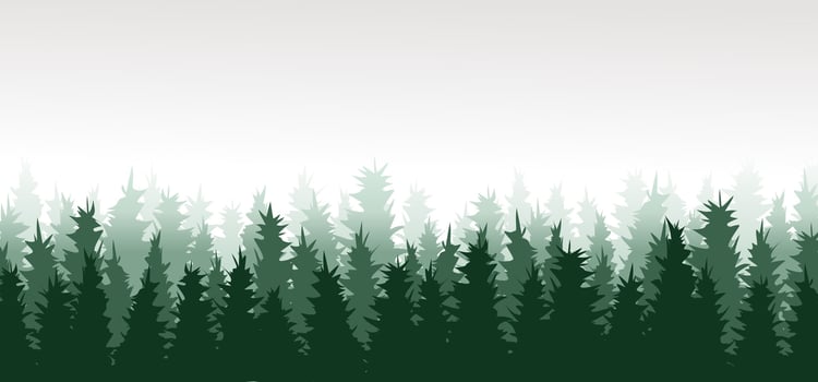 Forest background, nature, landscape. Evergreen coniferous trees. Pine, spruce, christmas tree. Silhouette pines. vector