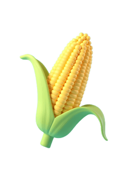 isolated fresh ripe corn png