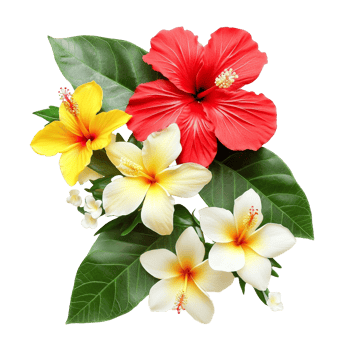 Fresh Hawaiian Flower Arrangement Featuring Hibiscus png