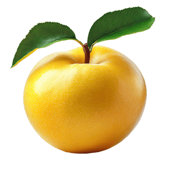 Quince fruit . Organic quince fruit isolated. ripe and healthy quince full of vitamins. pome fruit . yellow quince fruit isolated png