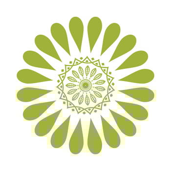 Round Colorful Mandala vector