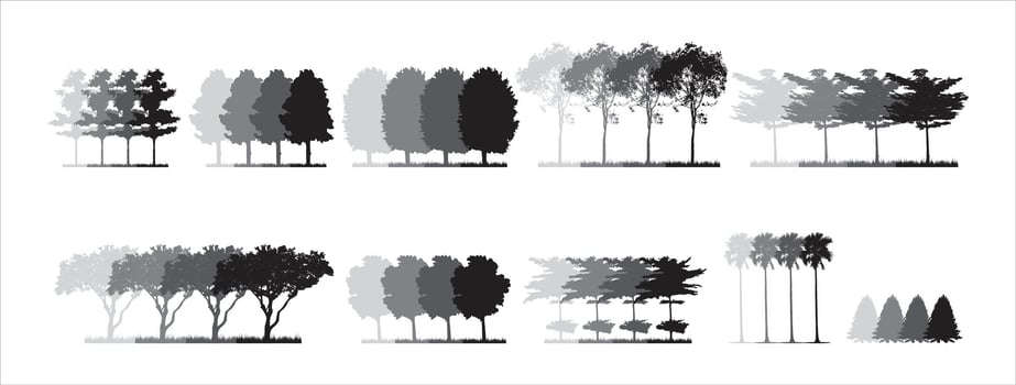 collection of monochrome illustration trees vector