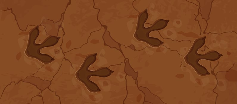 Prehistoric dinosaur fossil footprints background vector