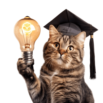 Cat full body wearing graduate cap and holding light bulb isolate on transparent background png