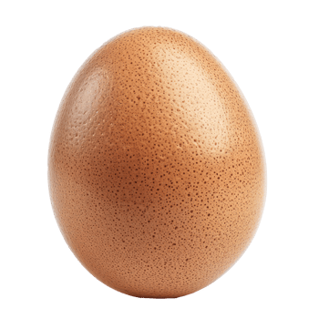 an egg on a transparent background png