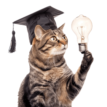 full body cat wearing graduate cap and holding light bulb isolate on transparent background png