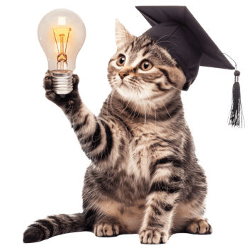 Cat wearing graduate cap and holding light bulb, full body isolate on transparent background png