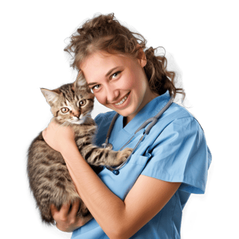 Smiling vet holding a cat isolate on transparent background png