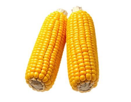A Corn Nutrition png