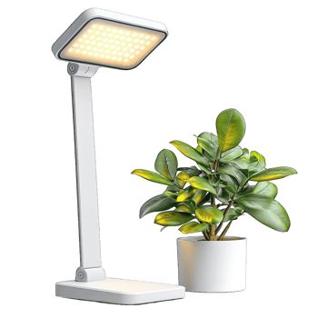 Elegant modern desk lamp with a green plant in a white pot isolated on transparent background cutout png