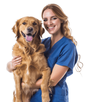 Smiling vet holding a dog isolate on transparent background png