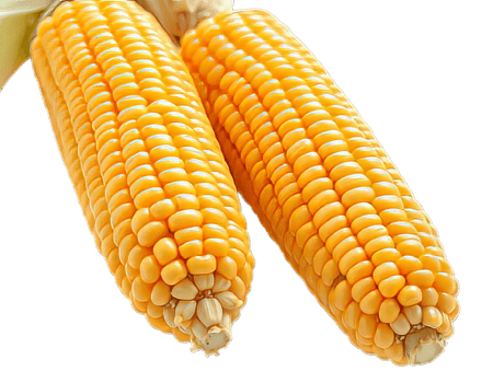 A Corn Wonder png