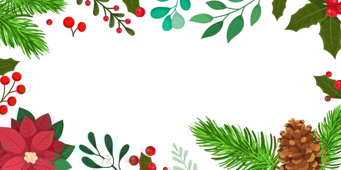 Banner or frame template with winter plants, pine cone, poinsettia flower and more. Empty space for text. illustration vector