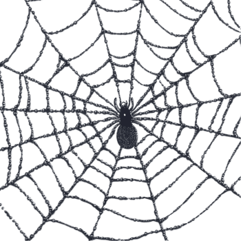 A spider web is shown on a black background png