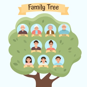 Family tree of three generation. Grandparents, parents, children. vector